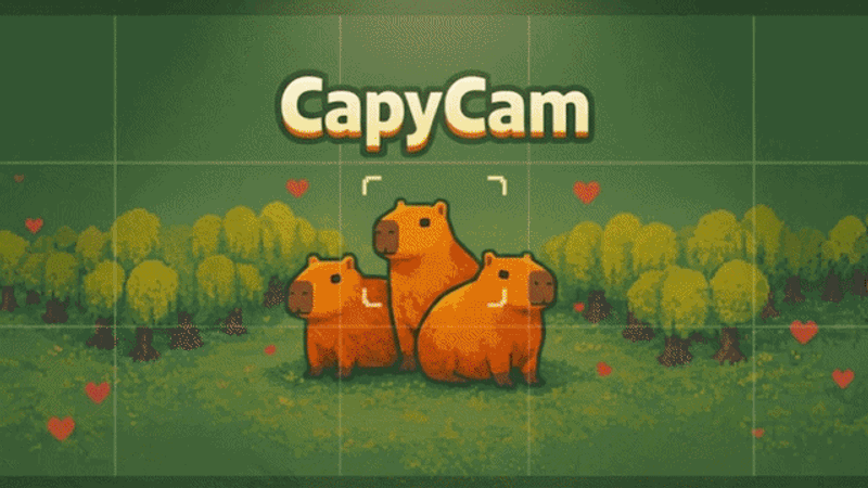 Обложка CapyCam